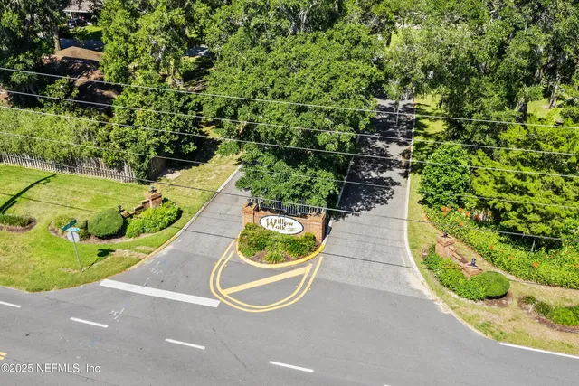 a view of a yard with plants and large trees