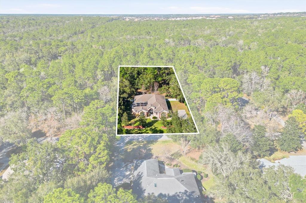 1829 West Redding Street Hernando, FL 34442 - Photo 41 of 47