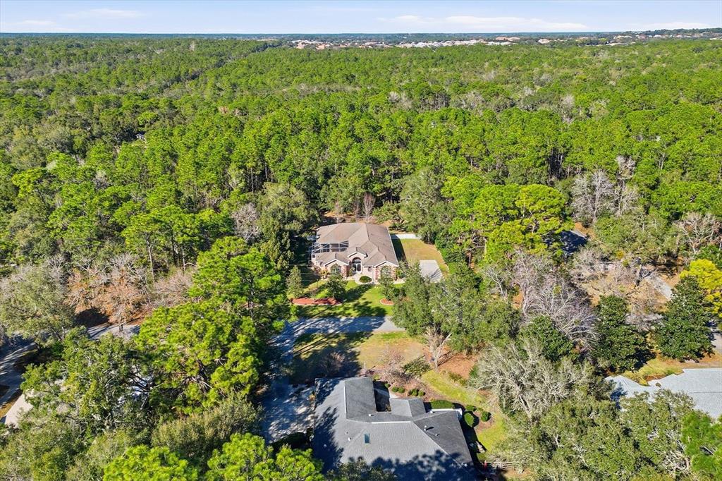 1829 West Redding Street Hernando, FL 34442 - Photo 44 of 47