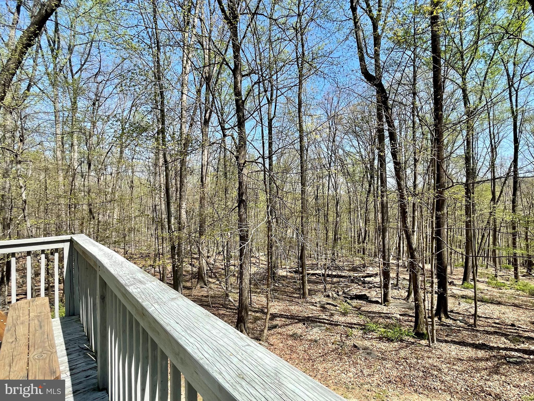 13 Mountainside Loop Berkeley Springs, WV 25411 - Photo 16 of 57