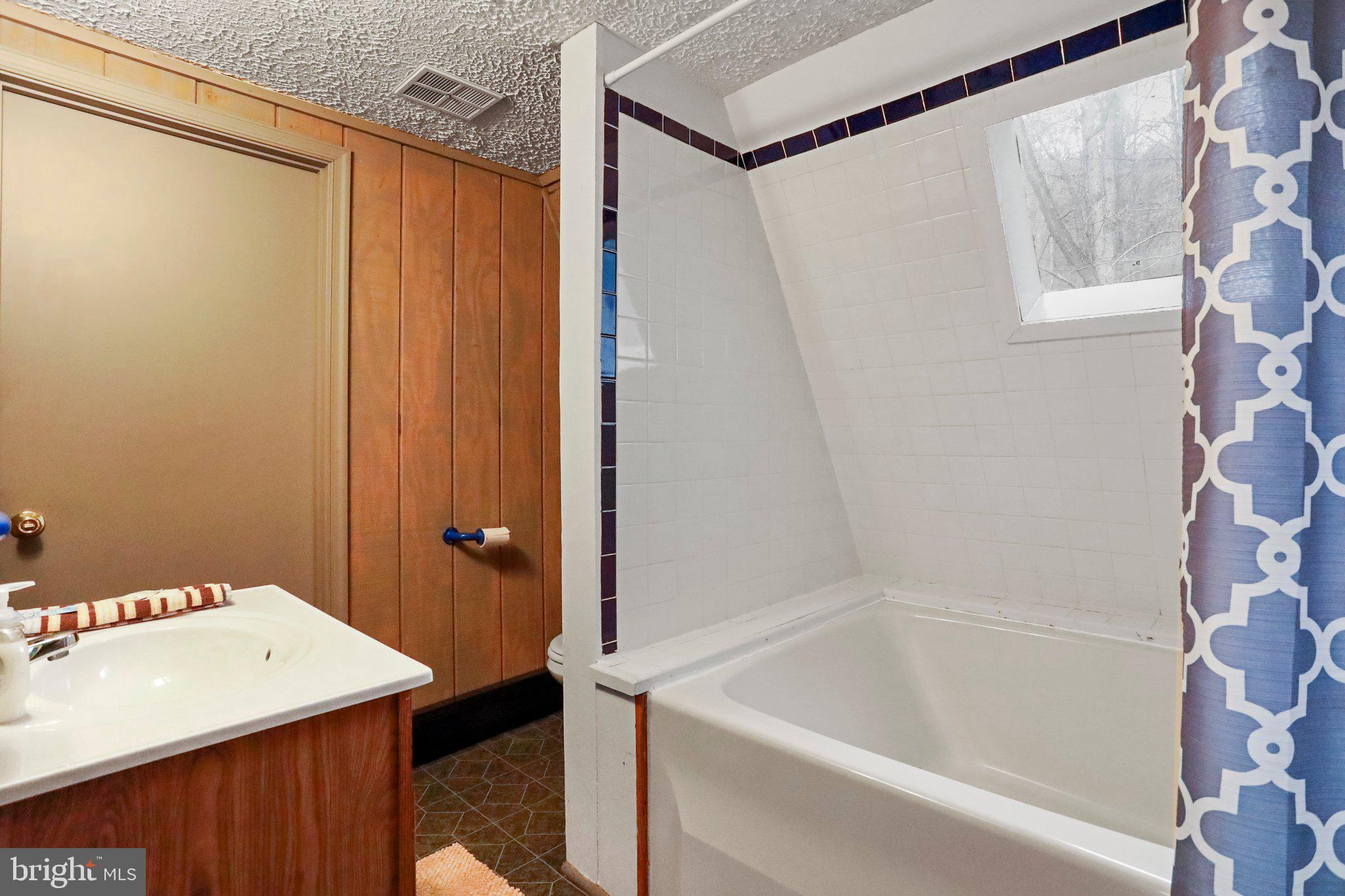 13 Mountainside Loop Berkeley Springs, WV 25411 - Photo 17 of 57 a bathroom with a bathtub and a shower