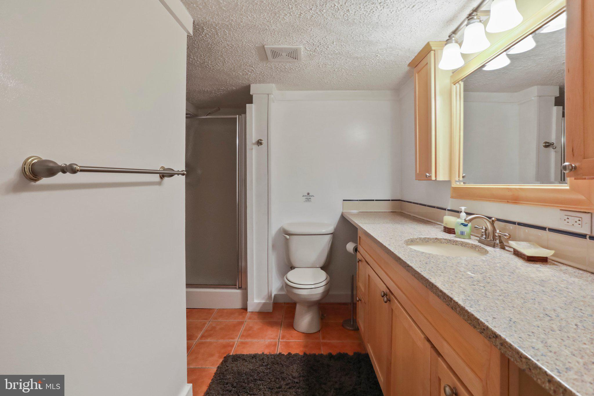 13 Mountainside Loop Berkeley Springs, WV 25411 - Photo 43 of 57 a bathroom with a granite countertop sink a toilet and a mirror