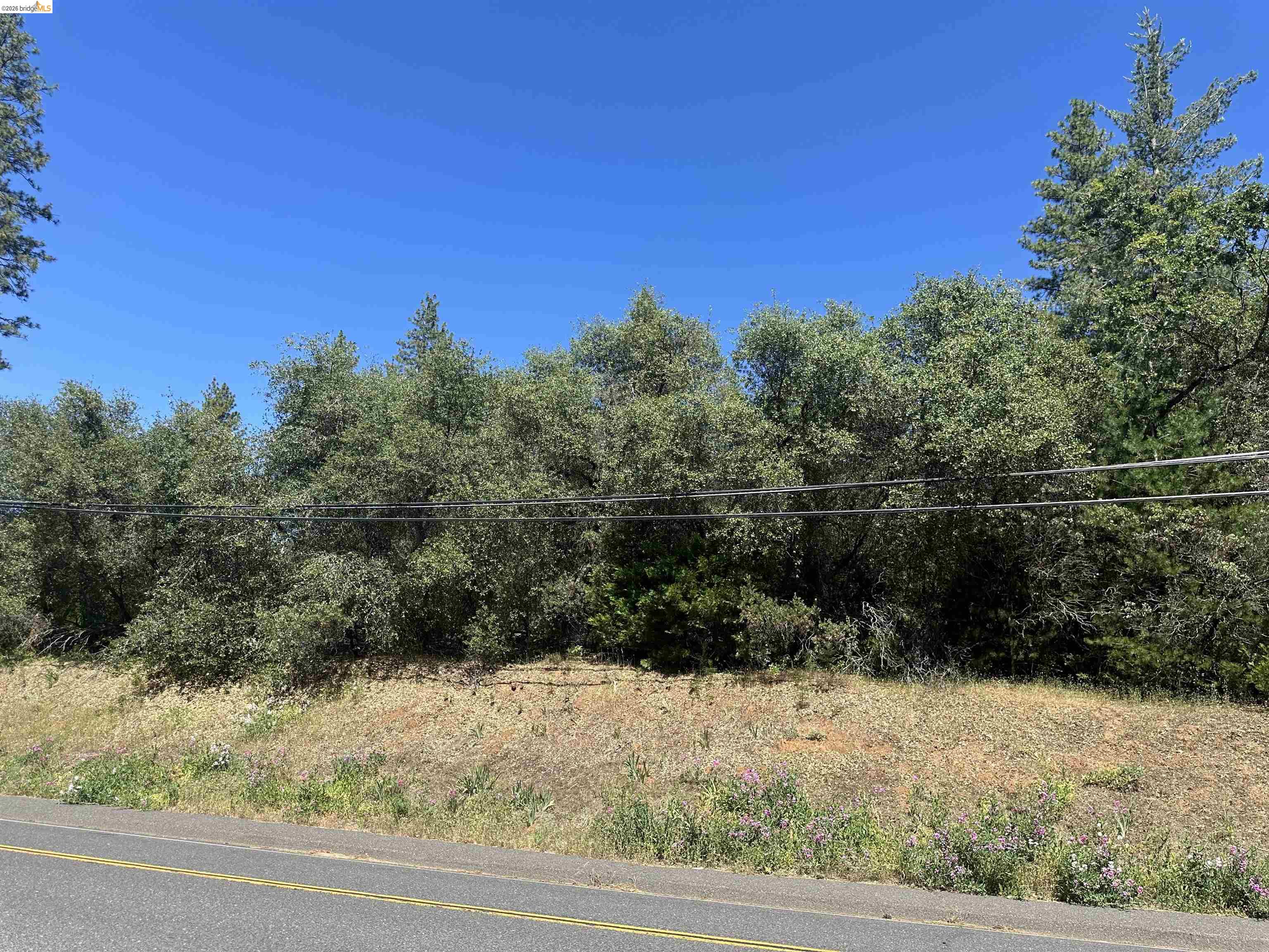 18935 Ferretti Road Groveland, CA 95321 - Photo 19 of 22