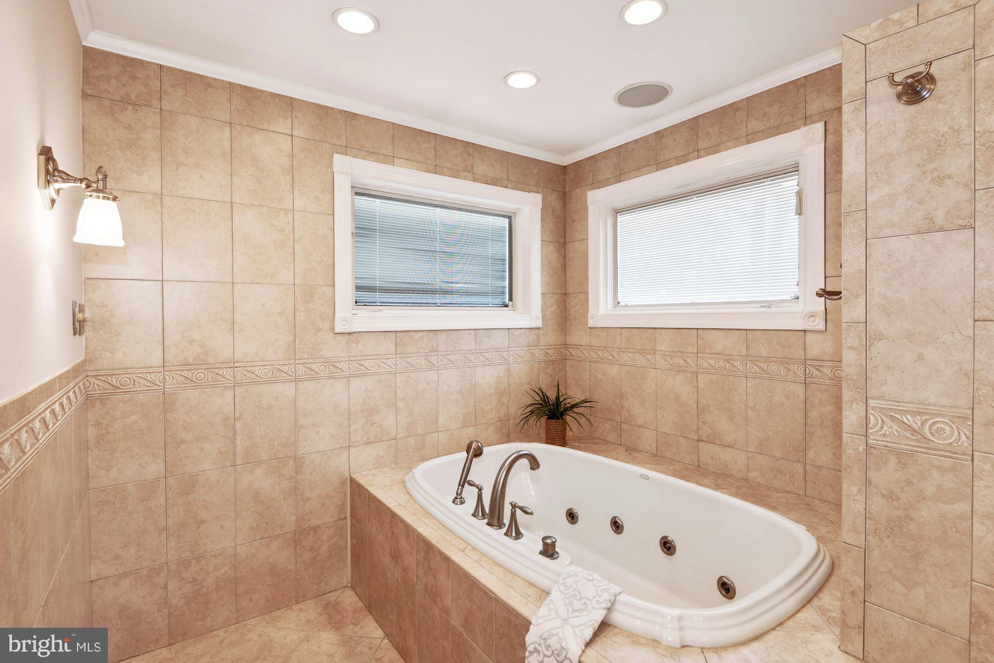 291 Halsey Road Annapolis, MD 21401 - Photo 21 of 42 HUGE primary bath with a jacuzzi tub!