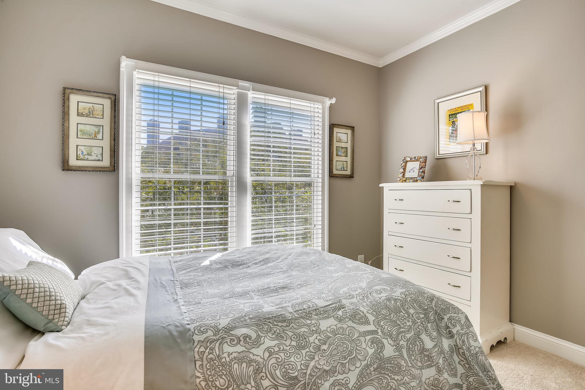 1346 Sundial Drive Reston, VA 20194 - Photo 26 of 39 Second bedroom