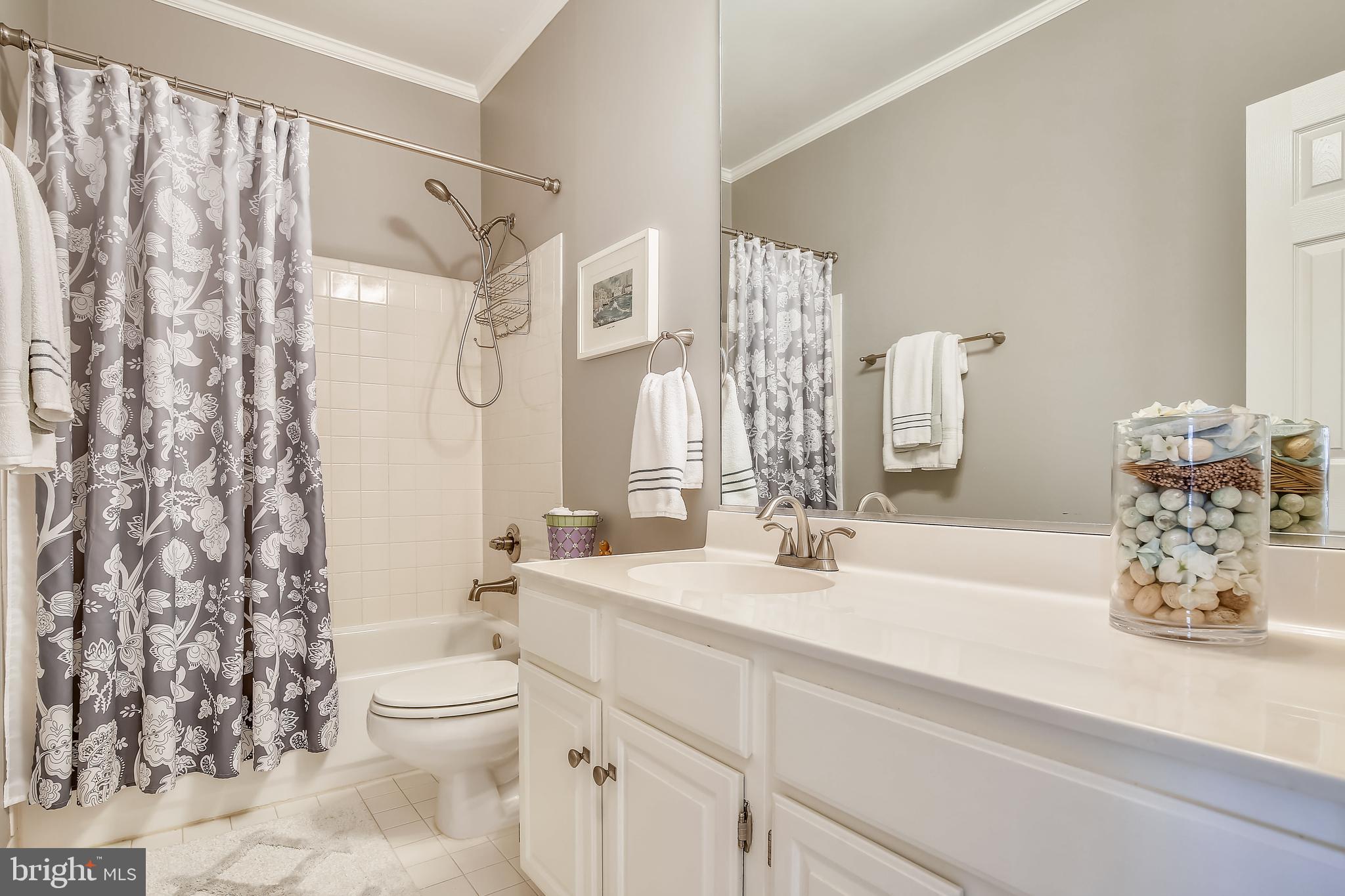 1346 Sundial Drive Reston, VA 20194 - Photo 30 of 39 Hall bath