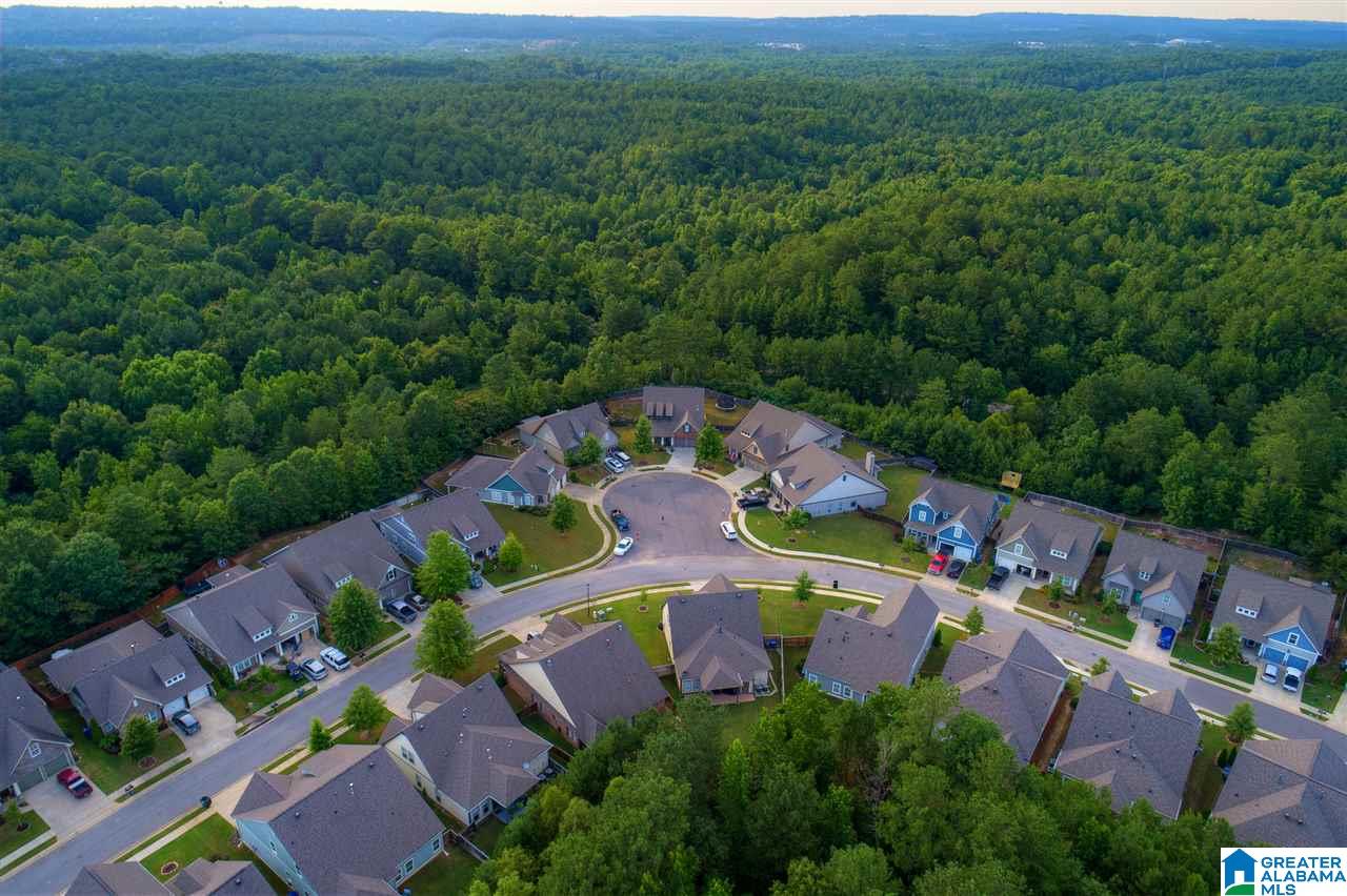 281 Appleford Road Helena, AL 35080 - Photo 39 of 39