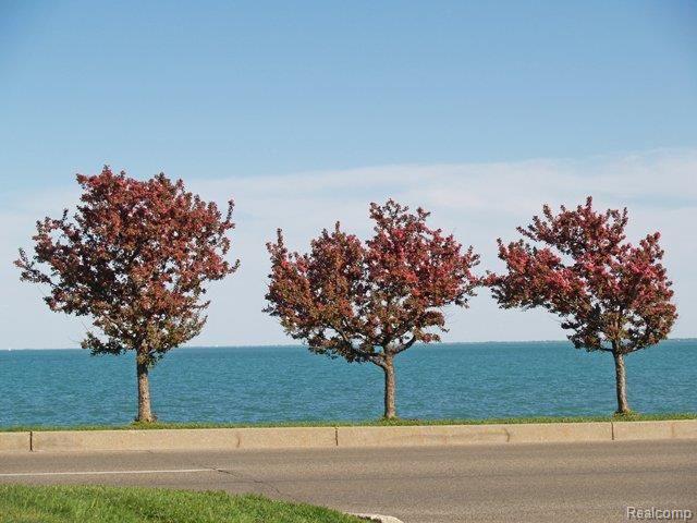 724 Neff Road Grosse Pointe, MI 48230 - Photo 23 of 23 Lake St. Clair in Spring