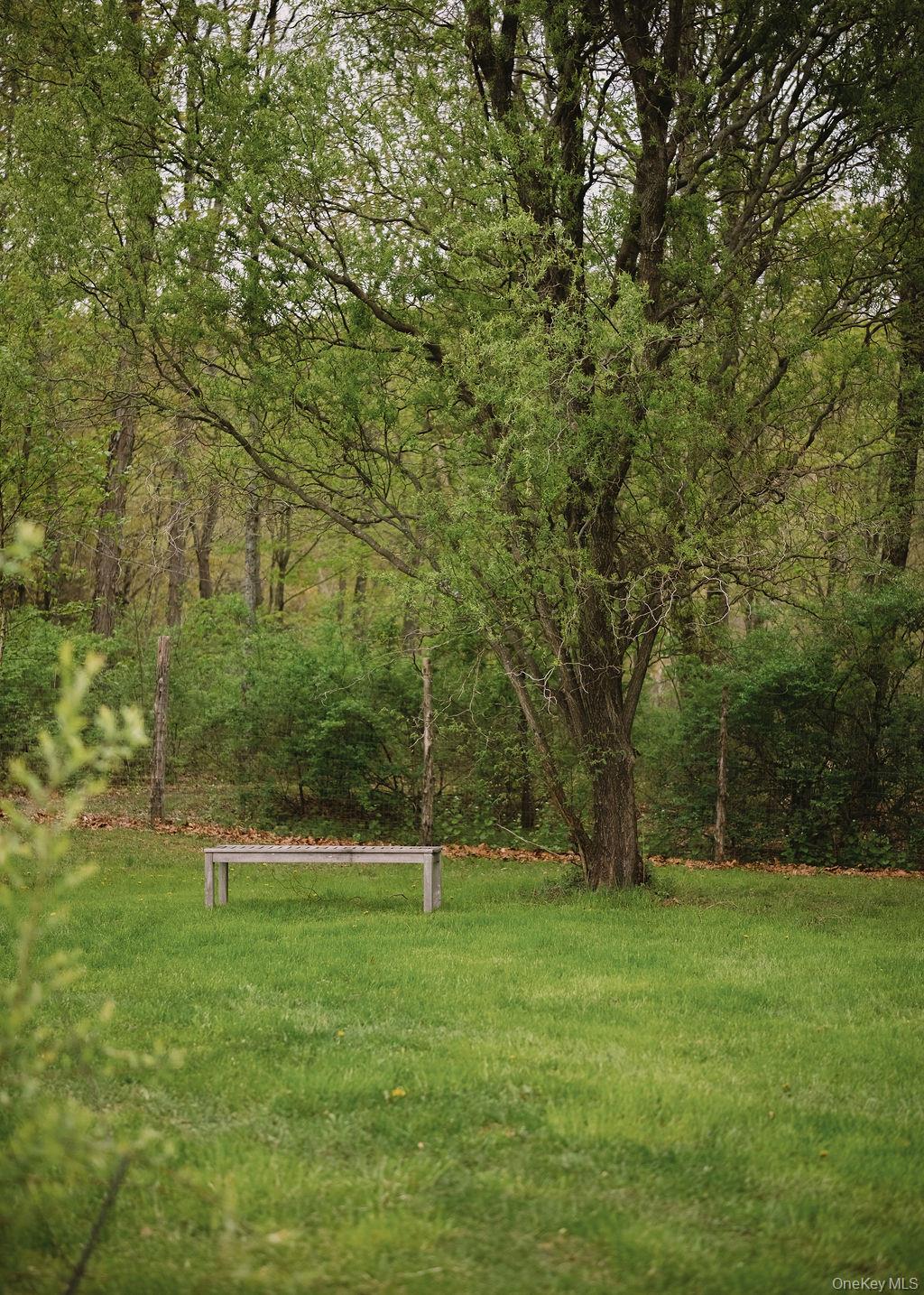 92 Fiddlers Bridge Road Staatsburg, NY 12580 - Photo 25 of 32 Backyard
