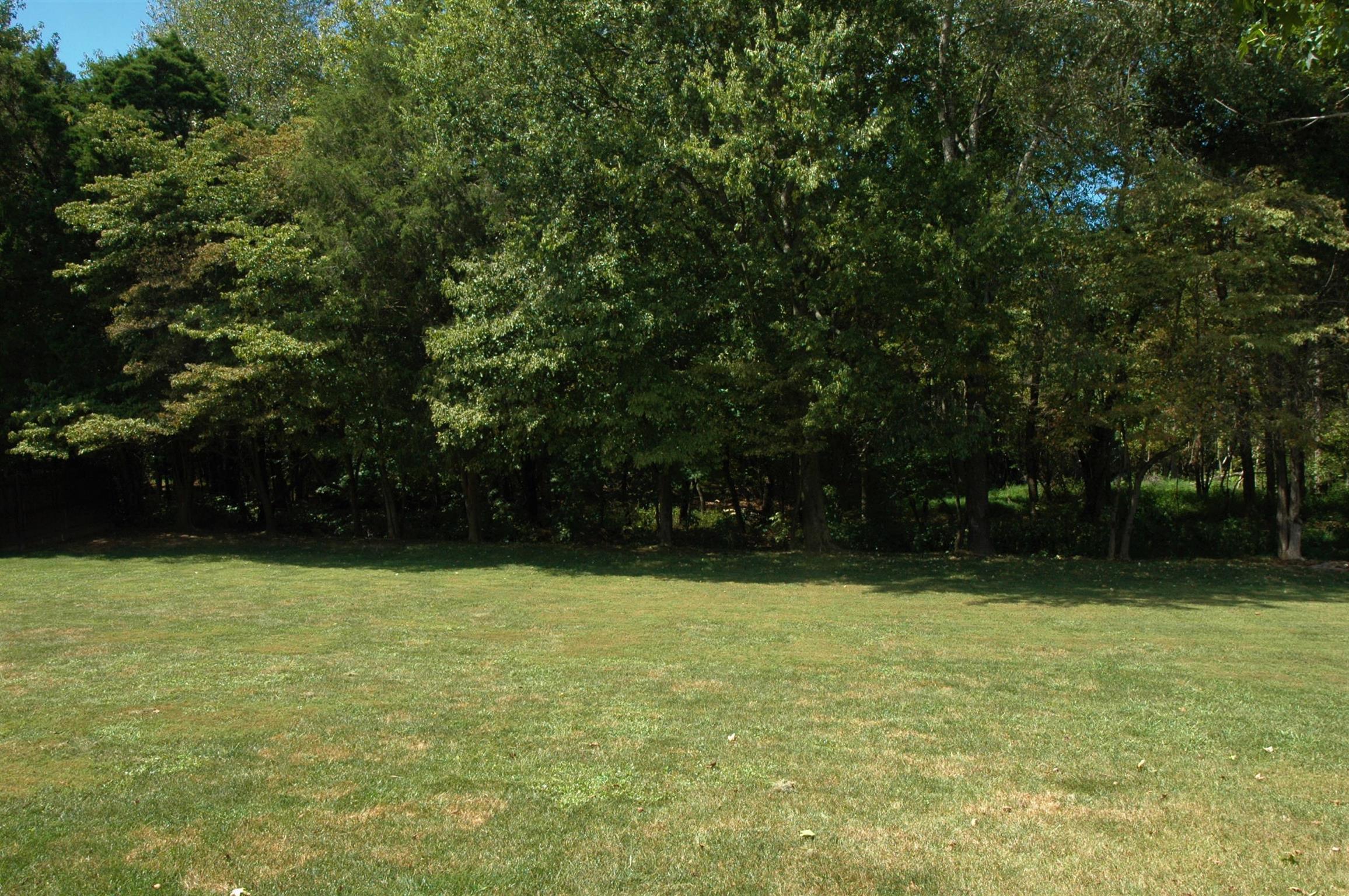 974 South Ridge Trail Clarksville, TN 37043 - Photo 28 of 30 Cleared tree line at back of lot