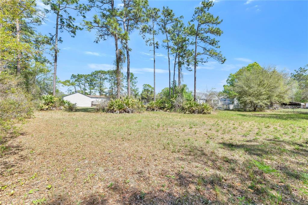 9180 Concord Road St. Cloud, FL 34773 - Photo 15 of 23 a view of a garden with trees
