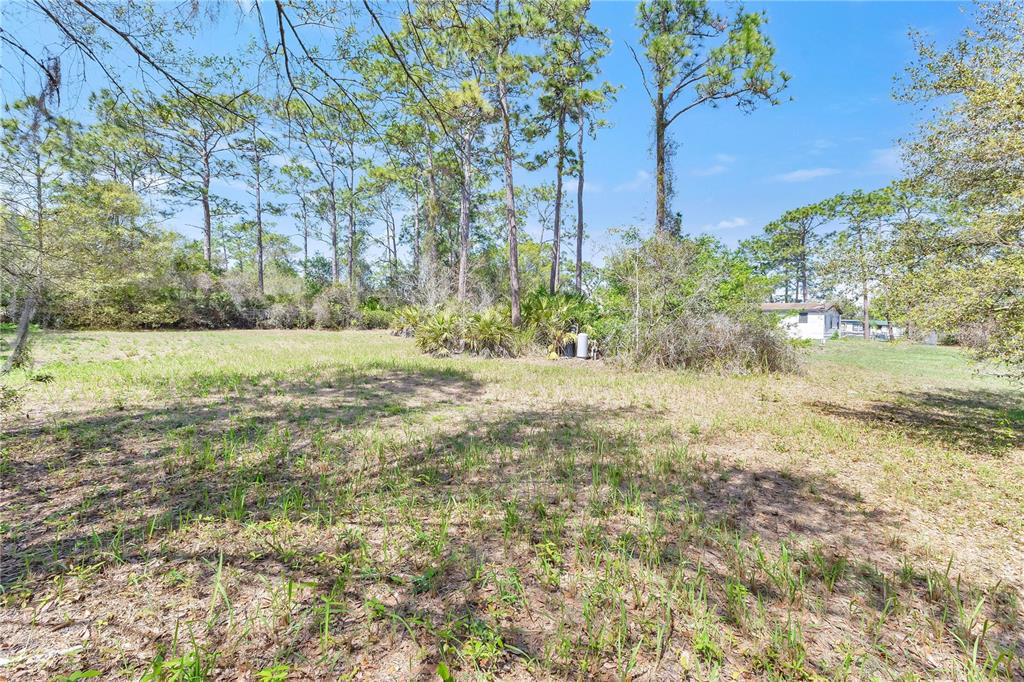 9180 Concord Road St. Cloud, FL 34773 - Photo 16 of 23 a view of outdoor space with yard and trees all around