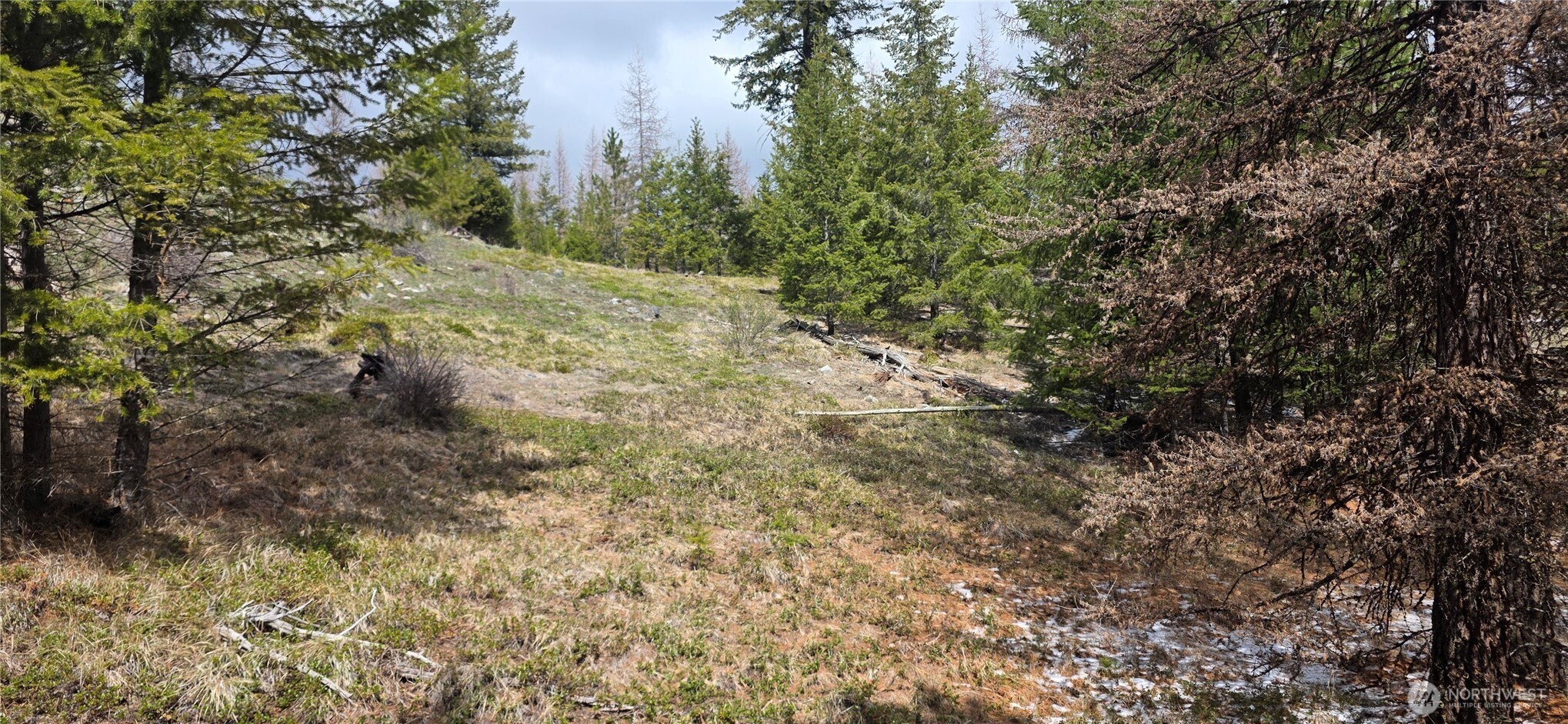 1111 Tbd Bandtman Road Tonasket, WA 98855 - Photo 17 of 22
