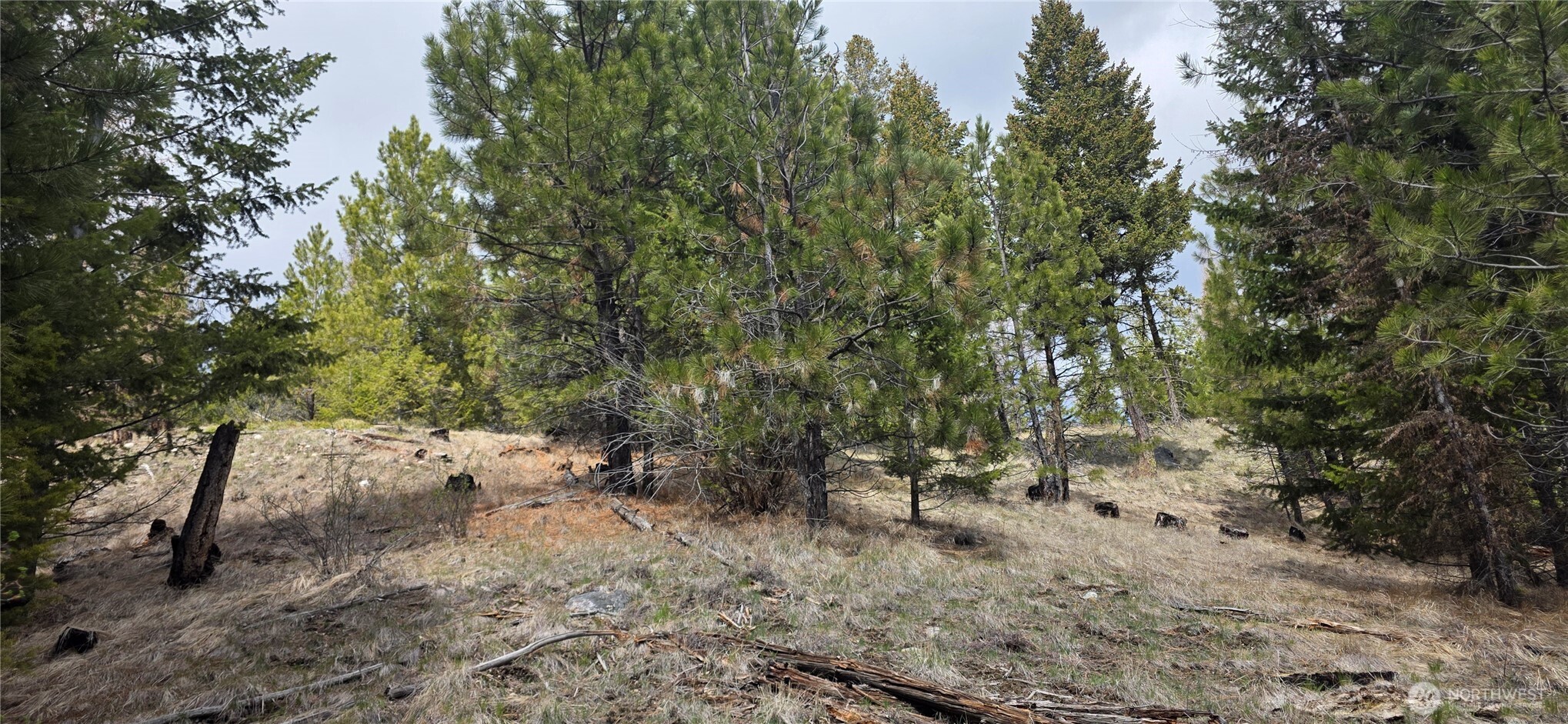 1111 Tbd Bandtman Road Tonasket, WA 98855 - Photo 3 of 22
