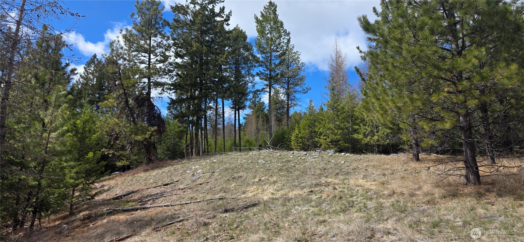 1111 Tbd Bandtman Road Tonasket, WA 98855 - Photo 4 of 22