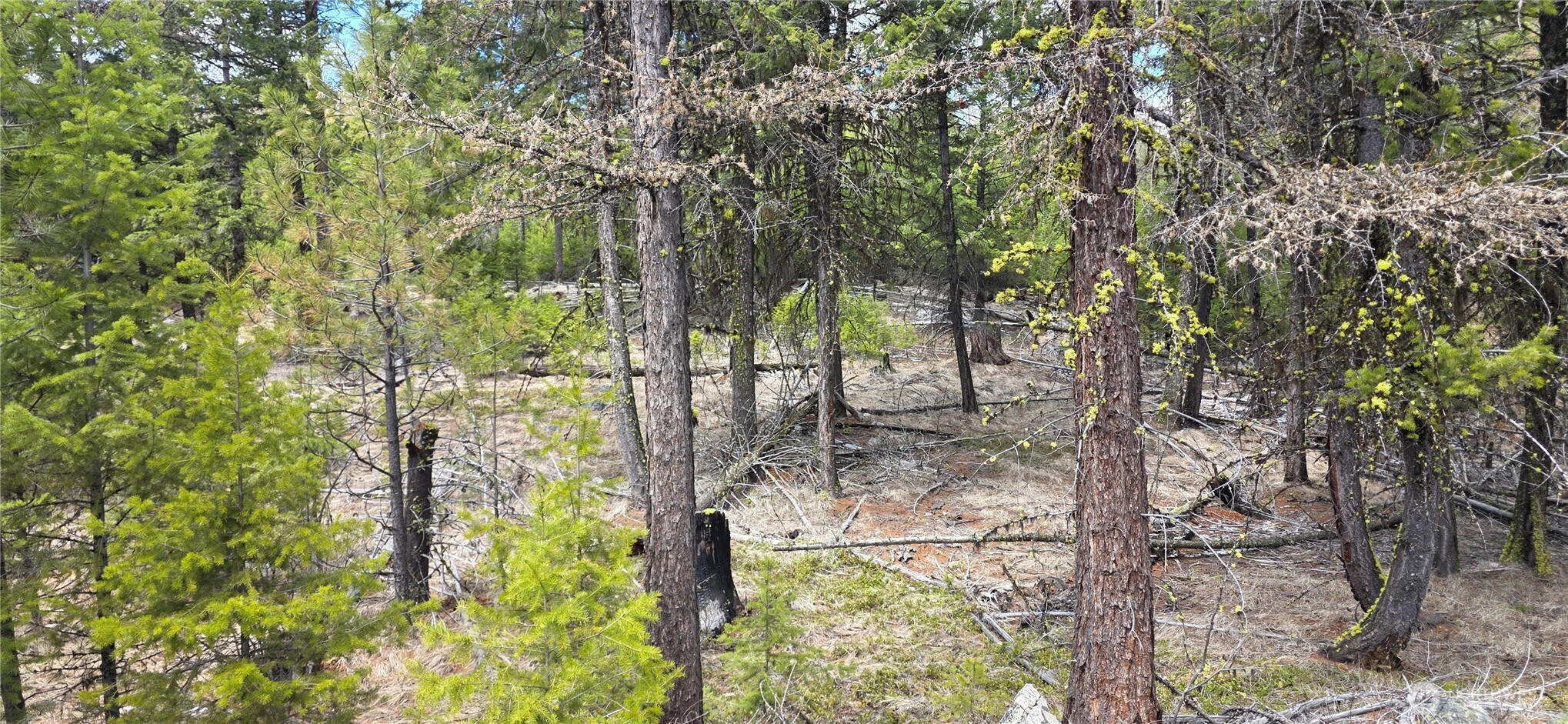 1111 Tbd Bandtman Road Tonasket, WA 98855 - Photo 10 of 22