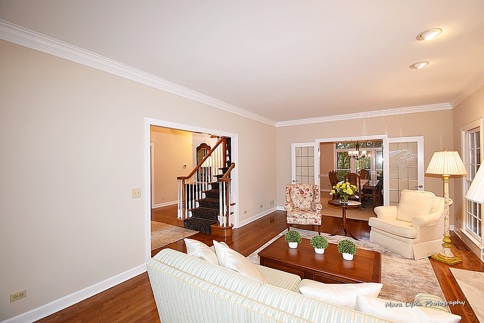 4N555 Hidden Oaks Road St. Charles, IL 60175 - Photo 9 of 41 a living room with furniture and a window