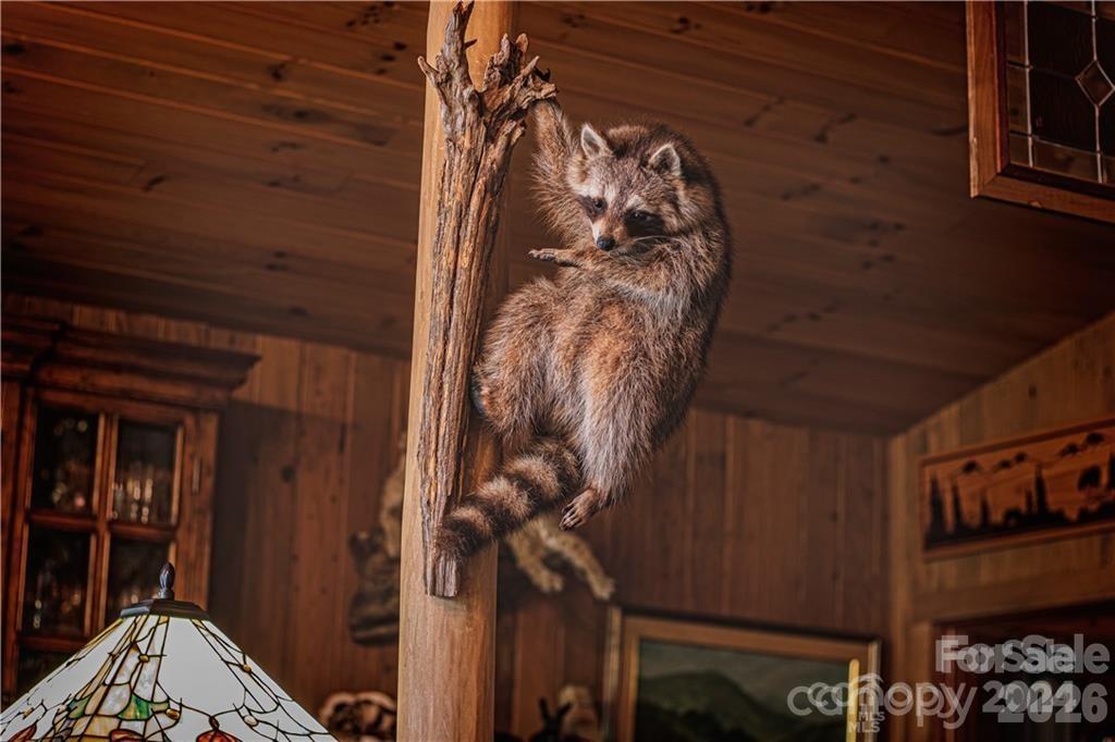 2736 Howell Branch Road Green Mountain, NC 28740 - Photo 25 of 44