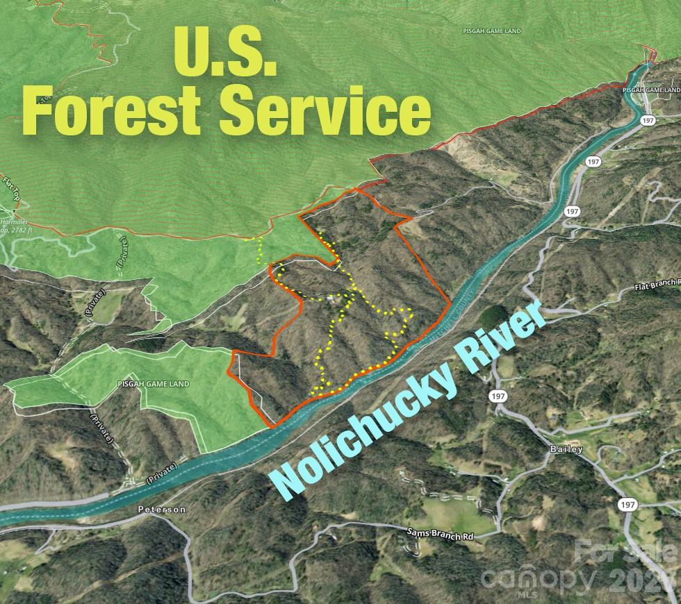 2736 Howell Branch Road Green Mountain, NC 28740 - Photo 3 of 44