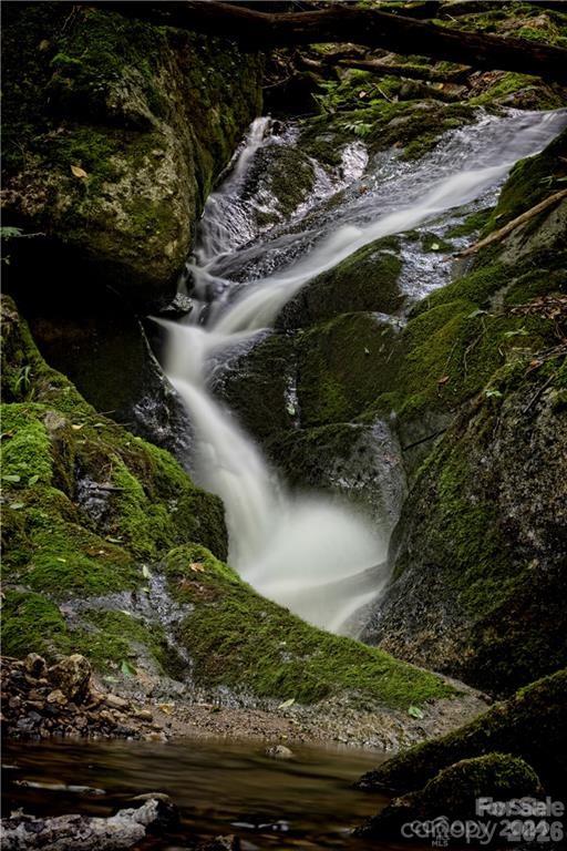 2736 Howell Branch Road Green Mountain, NC 28740 - Photo 34 of 44