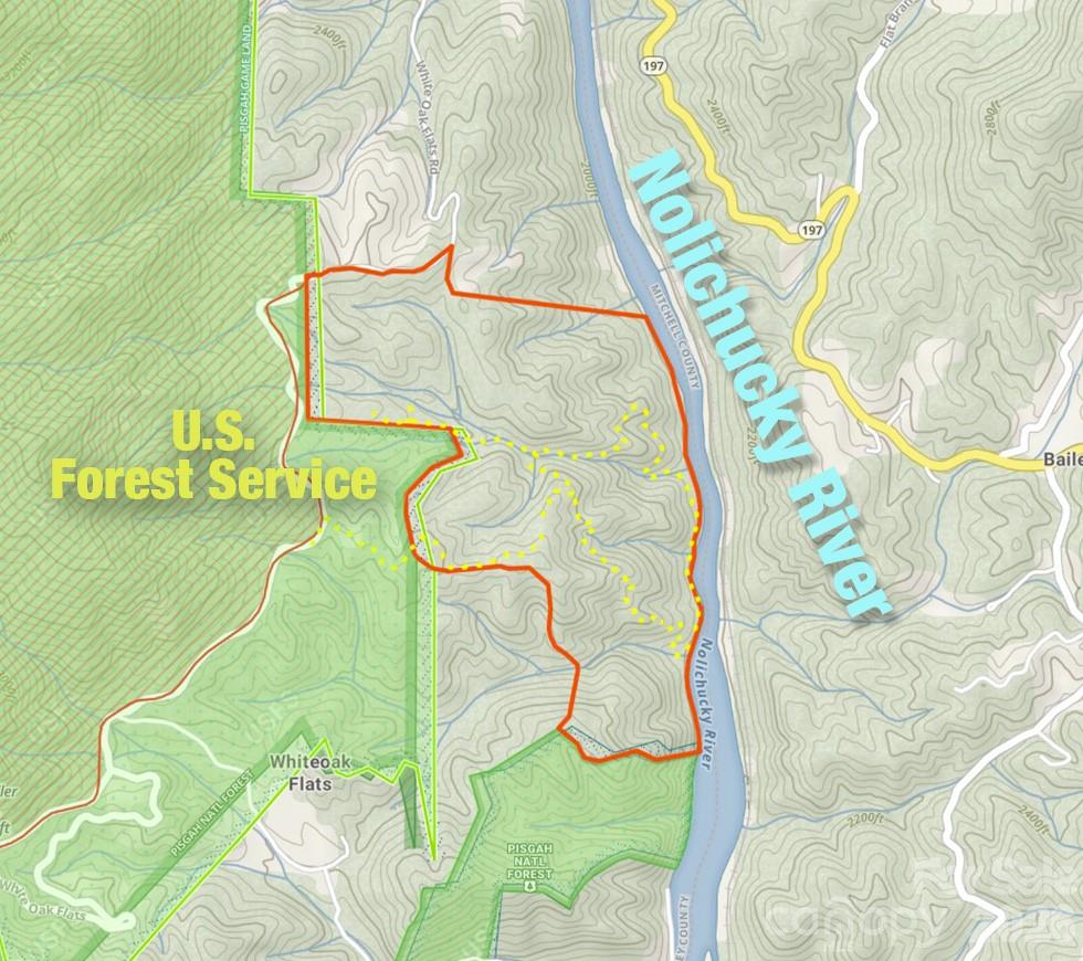 2736 Howell Branch Road Green Mountain, NC 28740 - Photo 44 of 44