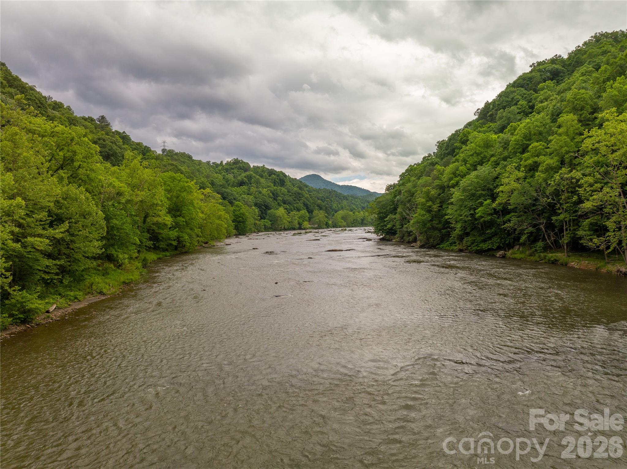 2736 Howell Branch Road Green Mountain, NC 28740 - Photo 6 of 44