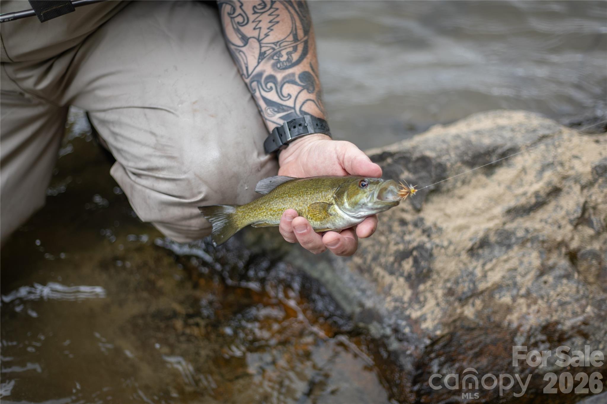 2736 Howell Branch Road Green Mountain, NC 28740 - Photo 8 of 44