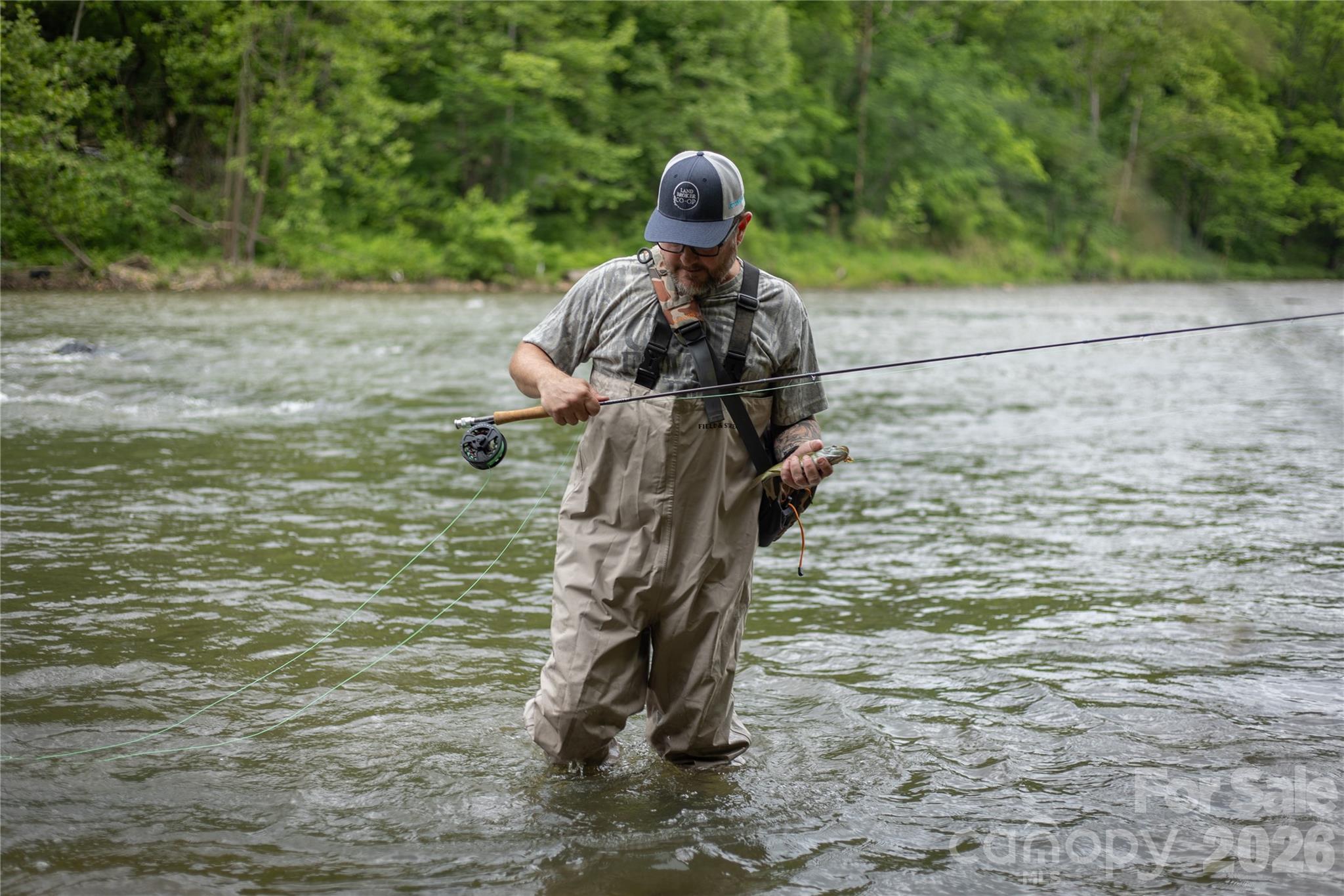 2736 Howell Branch Road Green Mountain, NC 28740 - Photo 9 of 44