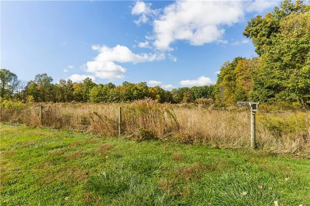 a view of a field with an trees in the background