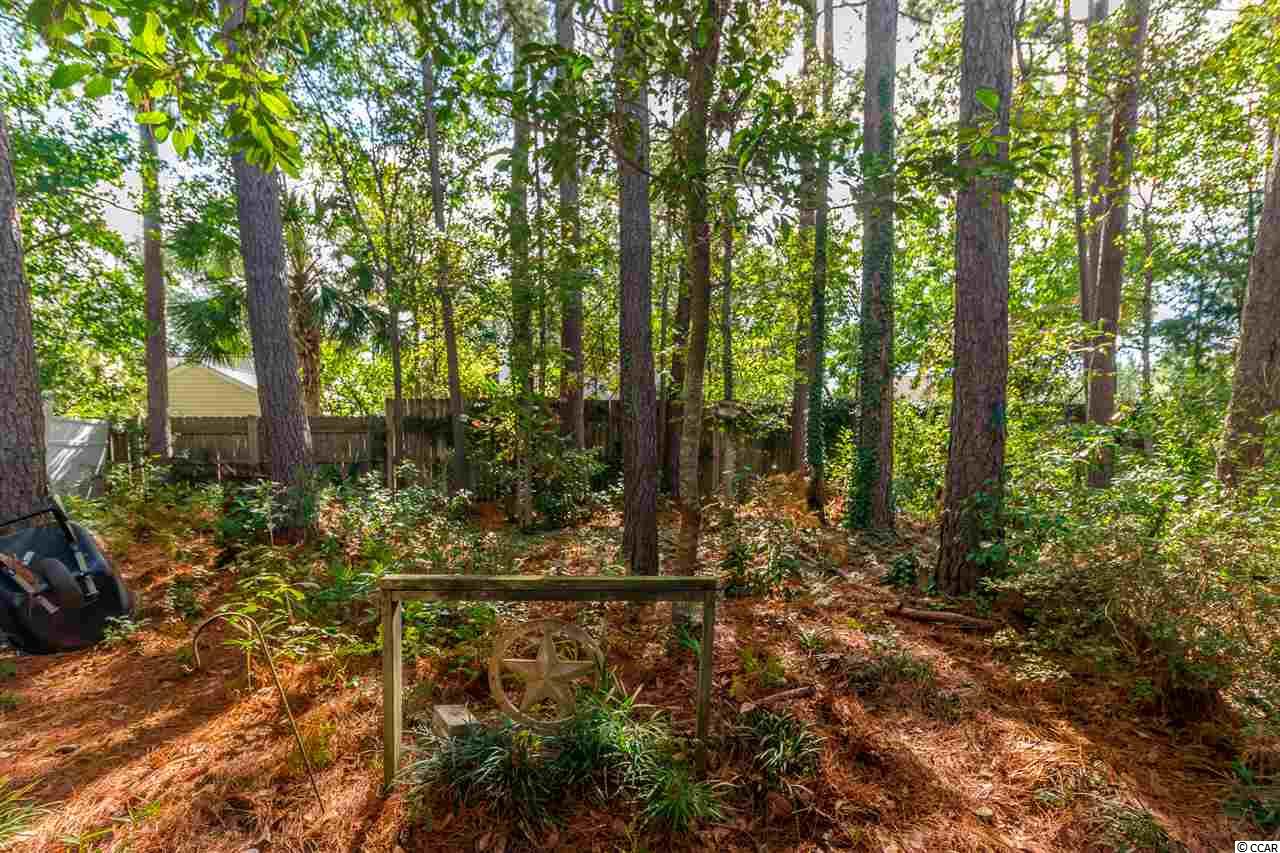 252 Stone Throw Drive Murrells Inlet, SC 29576 - Photo 24 of 25