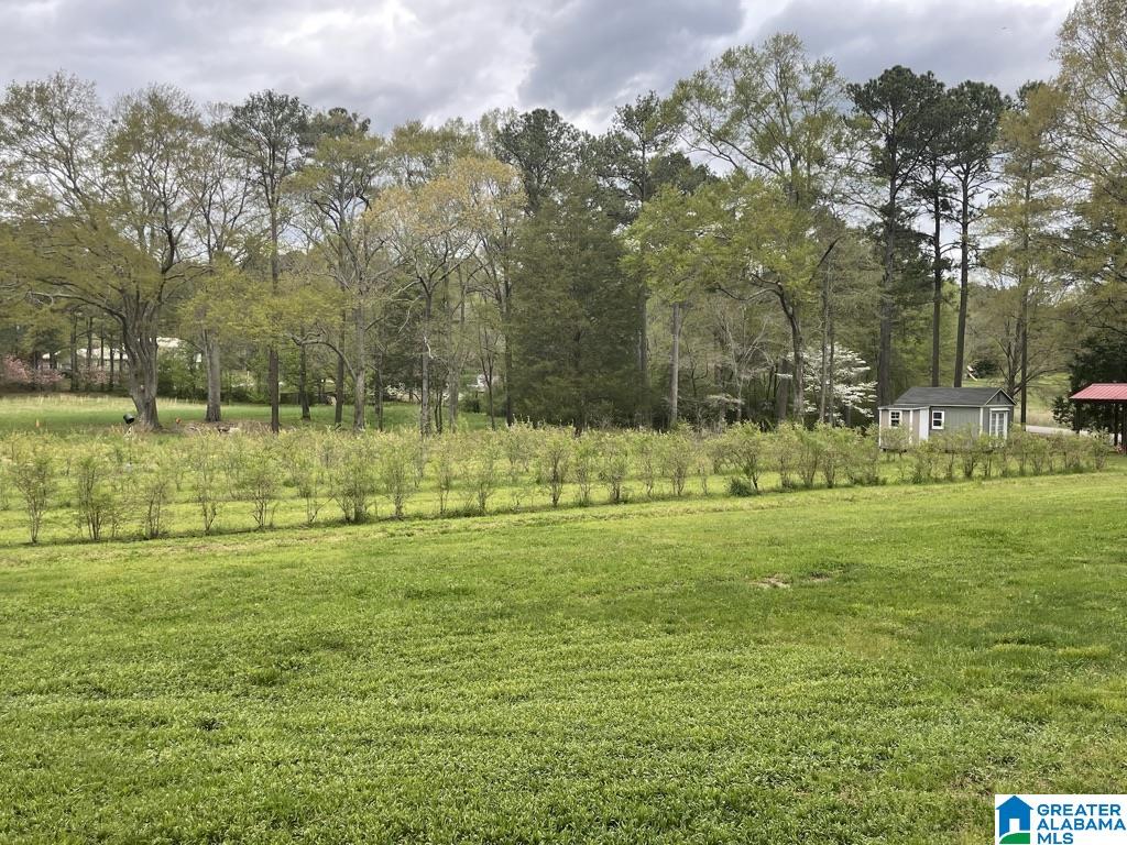 940 Dry Valley Road Lincoln, AL 35096 - Photo 31 of 39