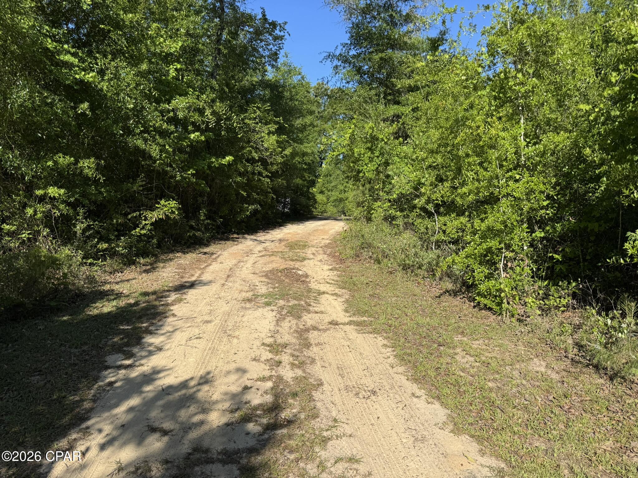 3651 River Road Sneads, FL 32460 - Photo 3 of 72