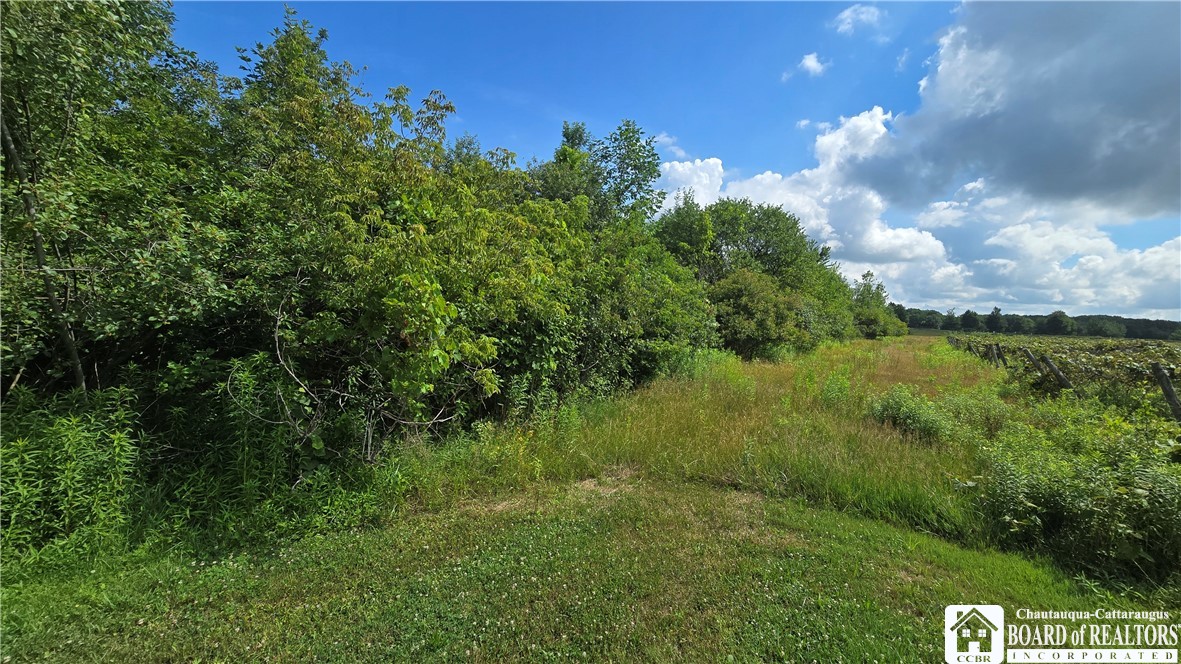 0 Allegany Road Silver Creek, NY 14136 - Photo 12 of 18