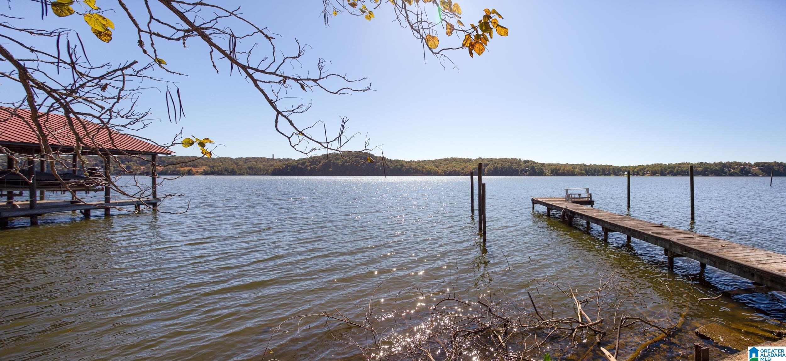 5106 Ranch Marina Road Pell City, AL 35128 - Photo 43 of 48