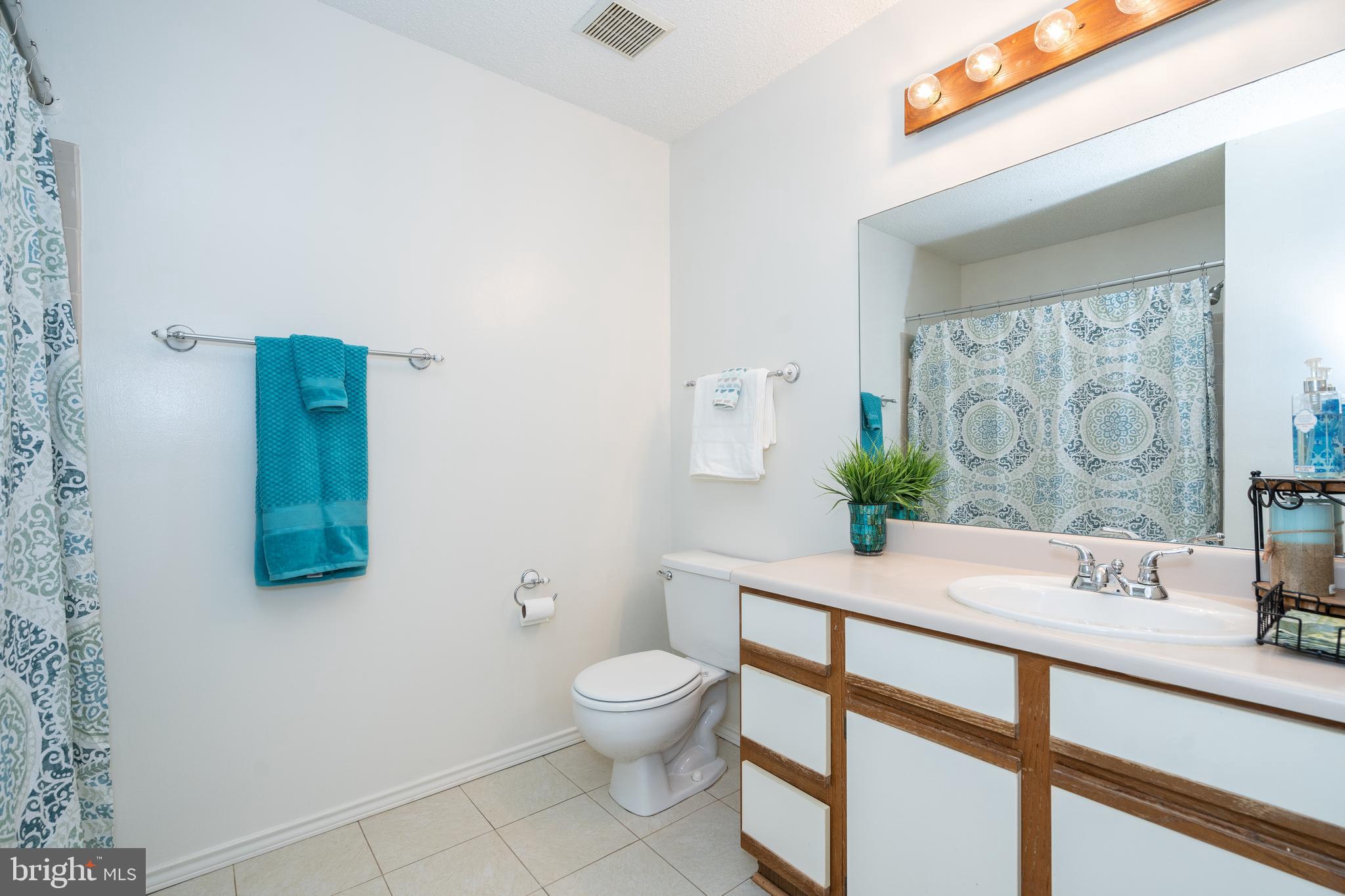 20963 Timber Ridge Terrace, Unit 301 Ashburn, VA 20147 - Photo 15 of 24 Bath