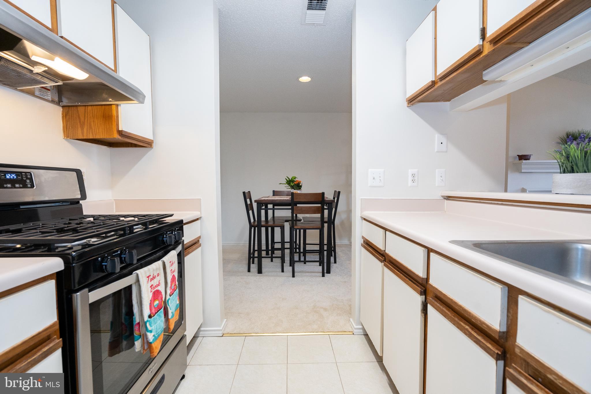 20963 Timber Ridge Terrace, Unit 301 Ashburn, VA 20147 - Photo 4 of 24 Gas Cooking