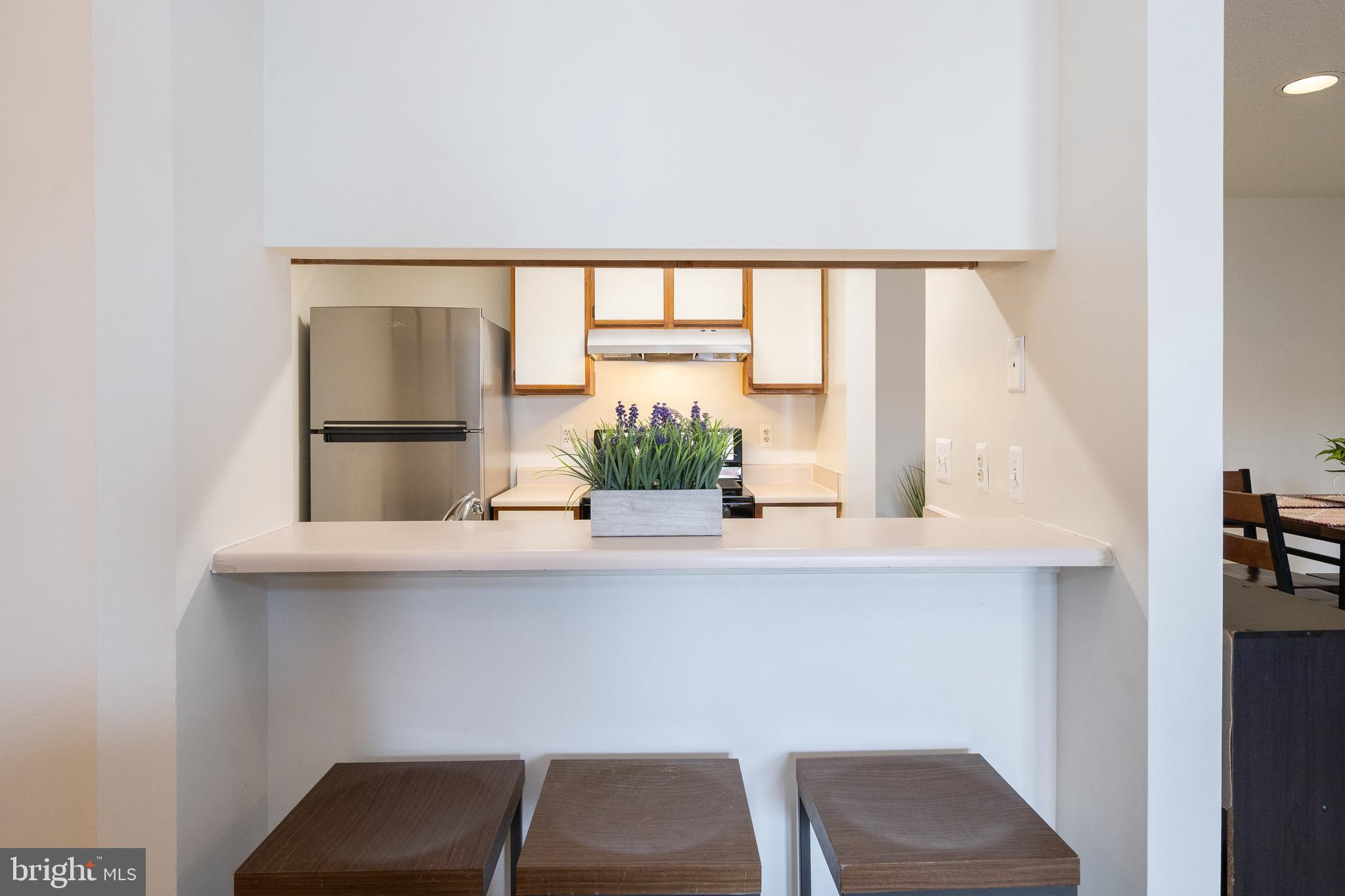 20963 Timber Ridge Terrace, Unit 301 Ashburn, VA 20147 - Photo 5 of 24 Breakfast Bar off Kitchen