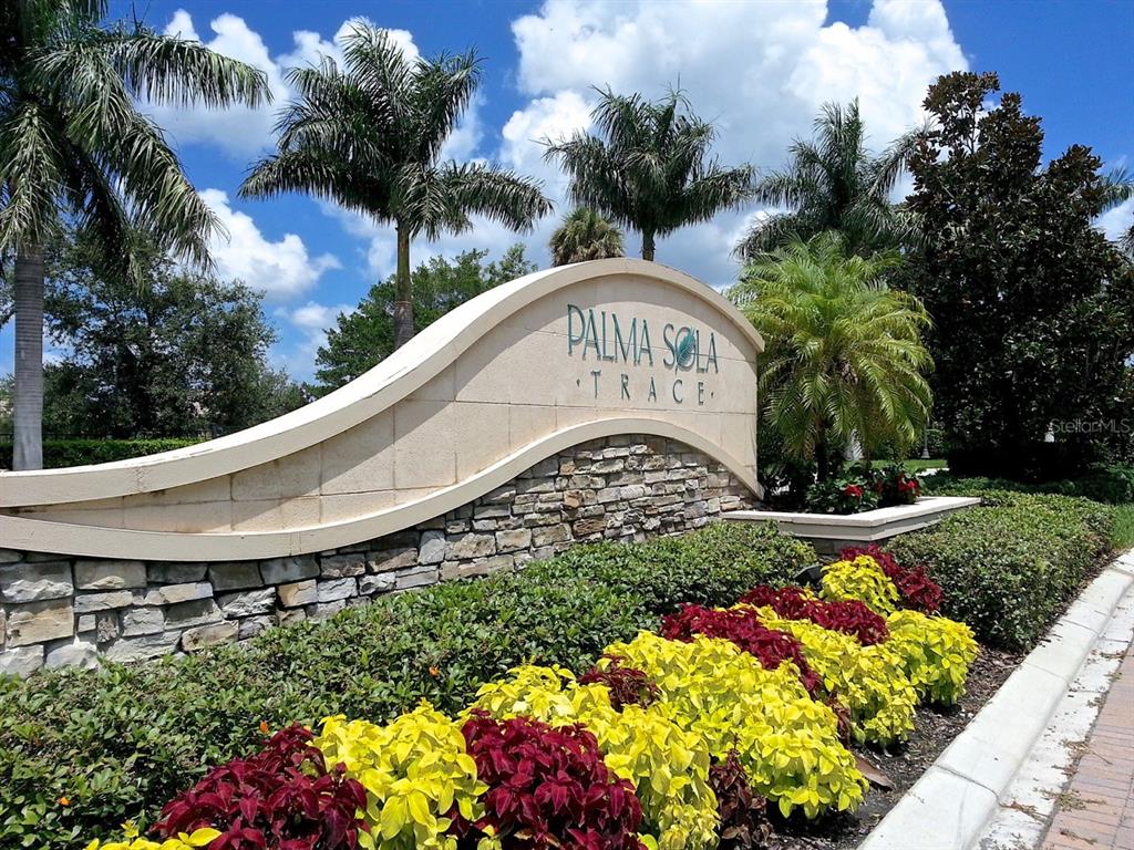 4203 Overture Circle Bradenton, FL 34209 - Photo 21 of 25 a view of a garden with a fountain