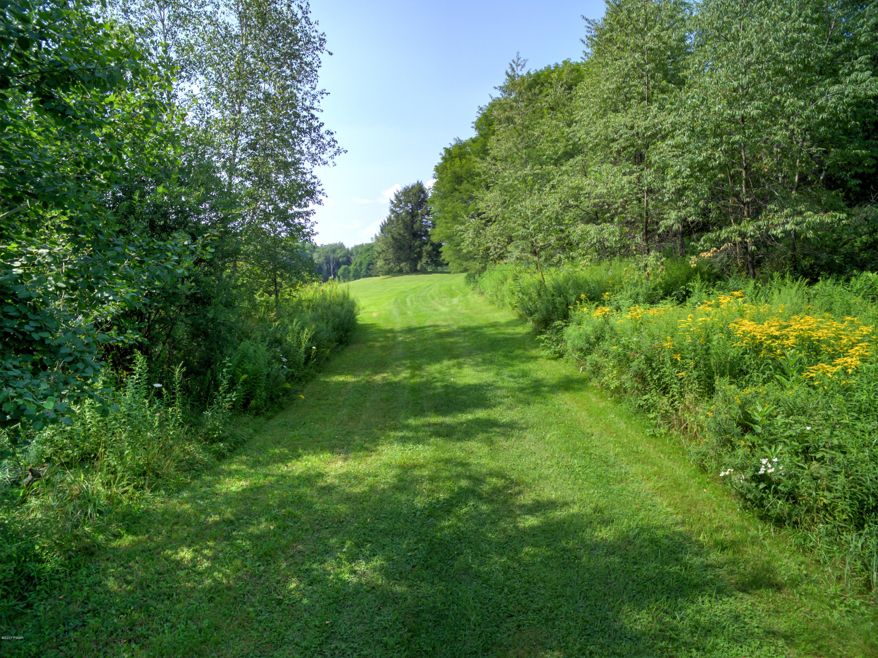 Savage Road Waymart, PA 18472 - Photo 8 of 16