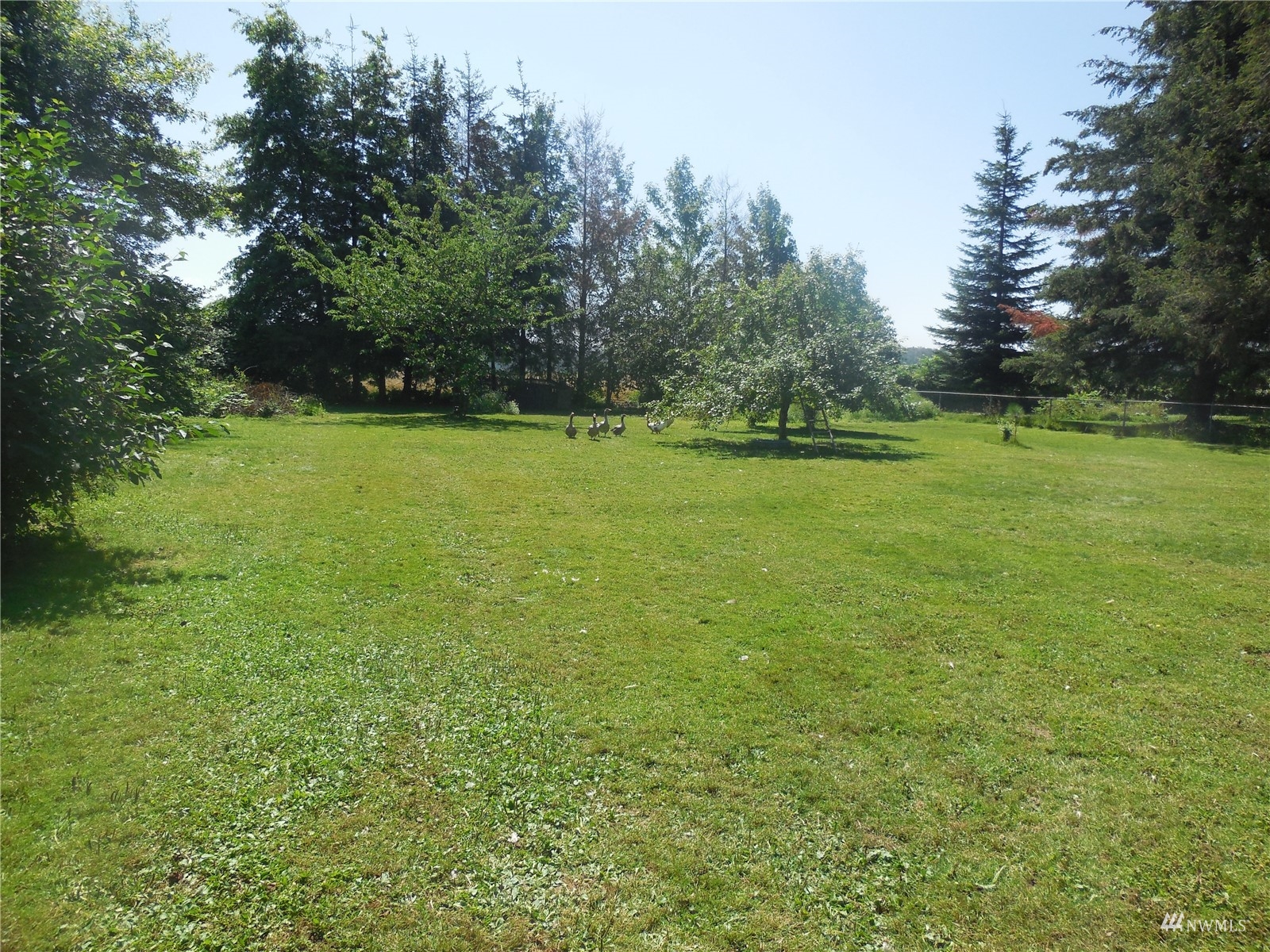 21636 Lafayette Road Sedro-Woolley, WA 98284 - Photo 21 of 25 Gallery Image 21