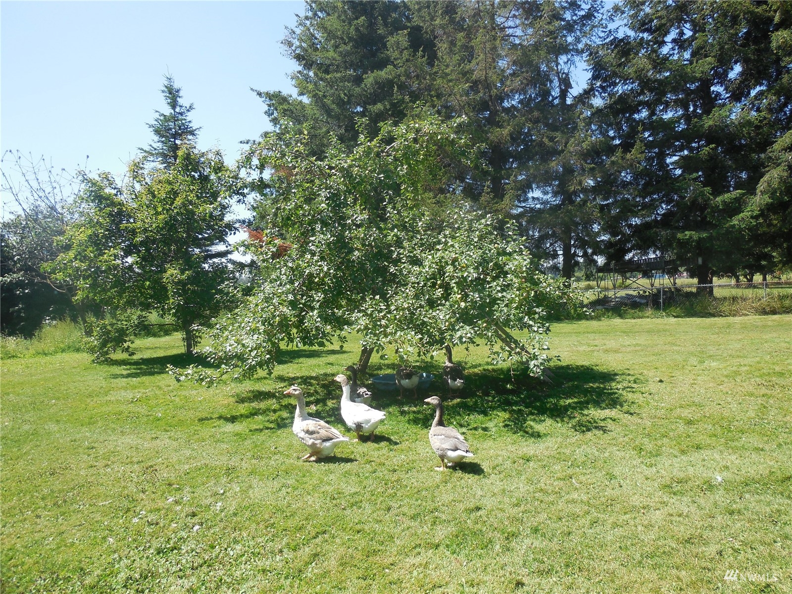 21636 Lafayette Road Sedro-Woolley, WA 98284 - Photo 24 of 25 Gallery Image 24