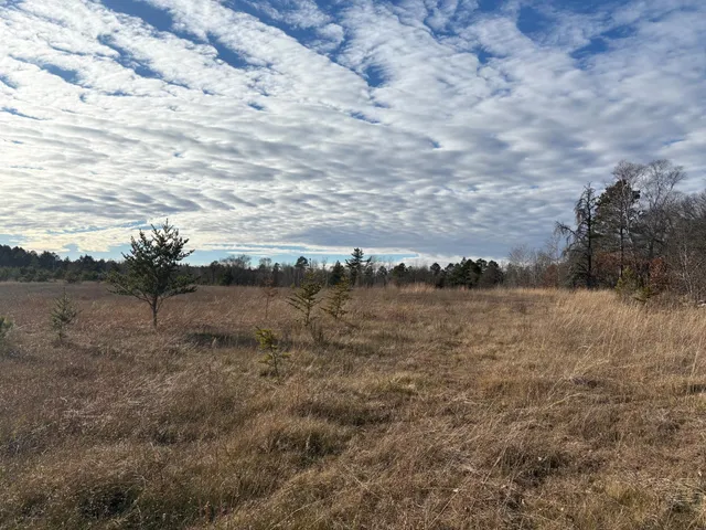 $199,900 | 7839 Birchmont Beach Road Northeast, Bemidji, MN 56601