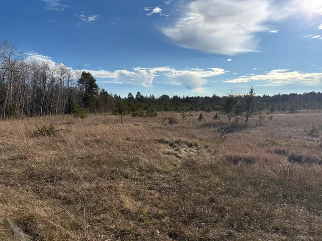 $199,900 | 7839 Birchmont Beach Road Northeast, Bemidji, MN 56601