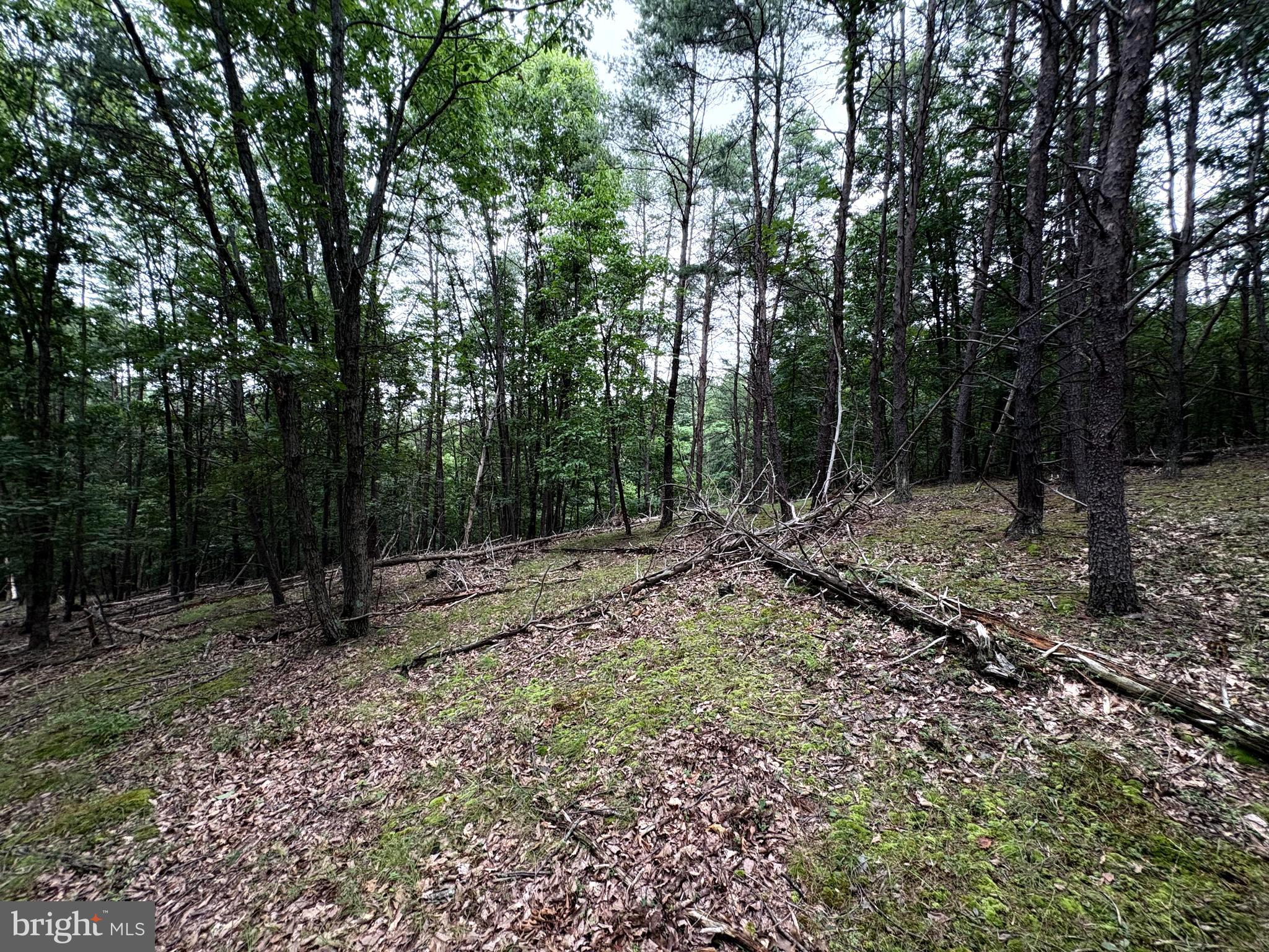 Lot 126 Bluffs Blue Beach Road Springfield, WV 26763 - Photo 13 of 20