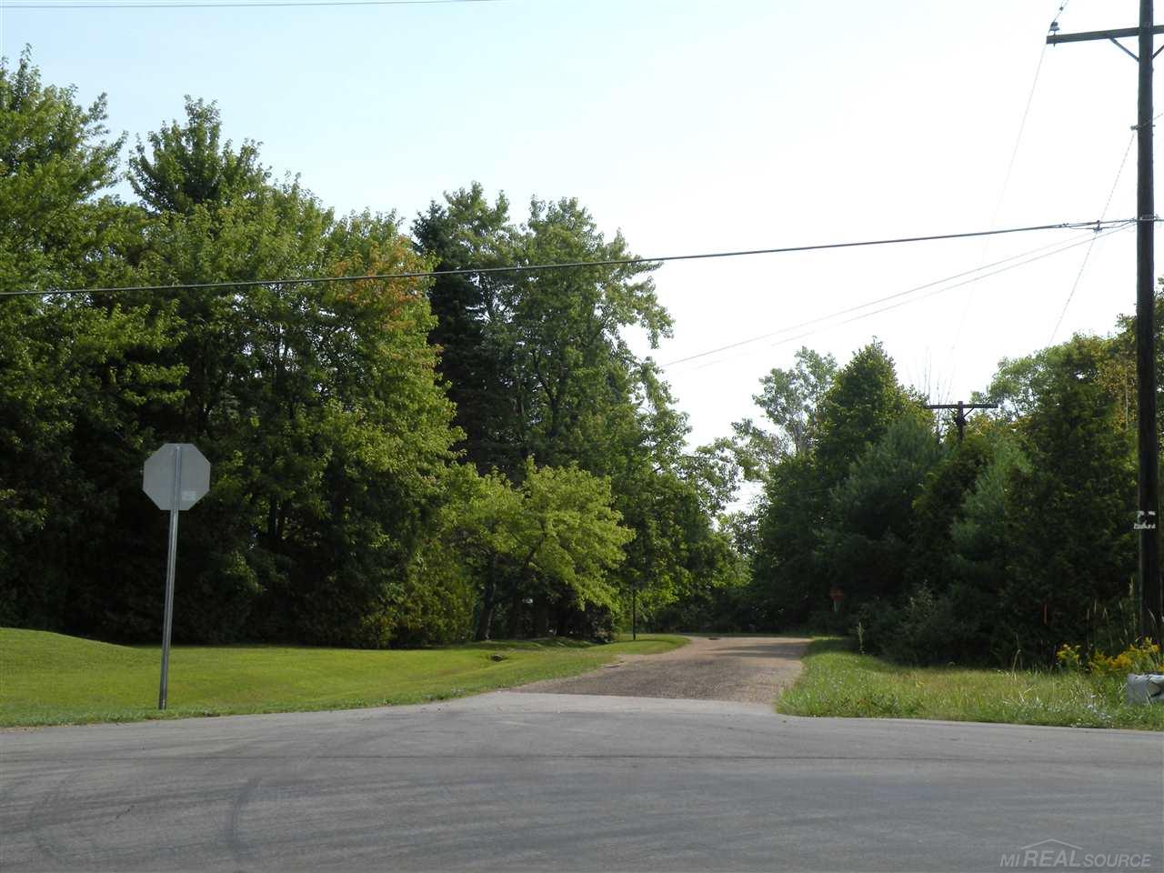 7130 French Line Road Applegate, MI 48401 - Photo 14 of 14