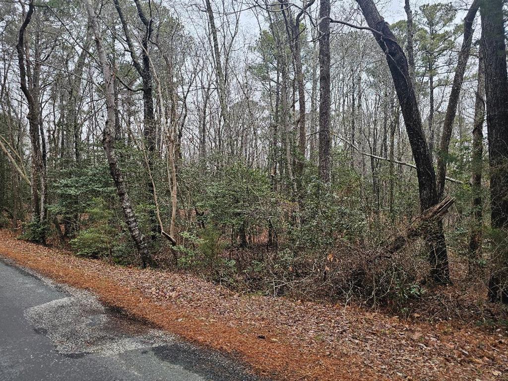 Lot 25 Jacobus Creek Road, Unit 25 Machipongo, VA 23405 - Photo 1 of 3