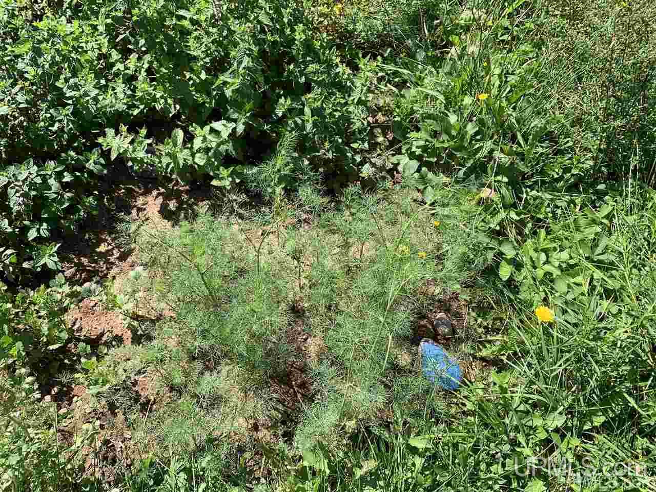 15280 Liminga Road Atlantic Mine, MI 49905 - Photo 28 of 35 Gallery Image 28
