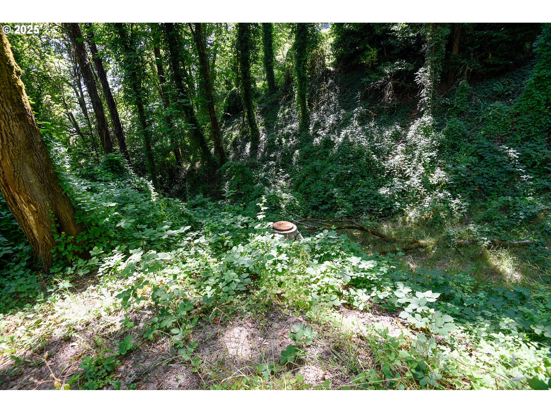 Southwest Condor Avenue Portland, OR 97239 - Photo 11 of 12