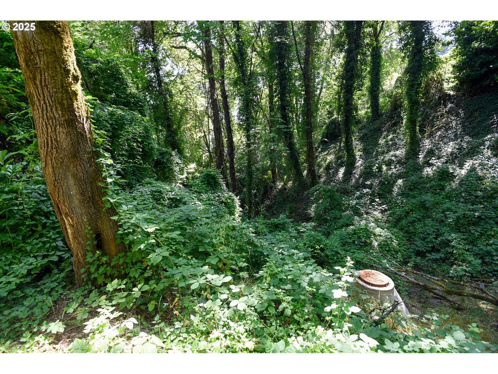 Southwest Condor Avenue Portland, OR 97239 - Photo 12 of 12