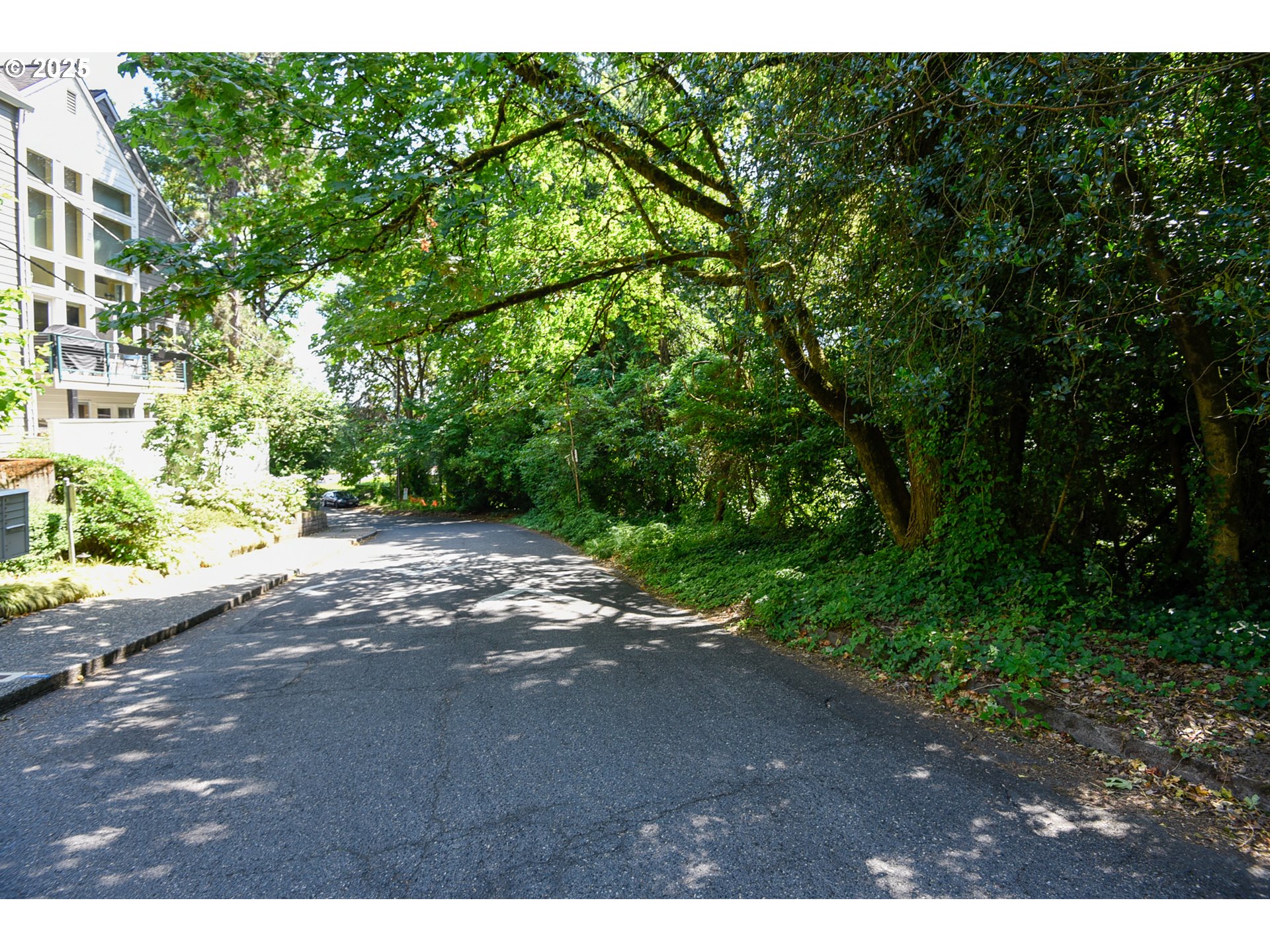 Southwest Condor Avenue Portland, OR 97239 - Photo 6 of 12